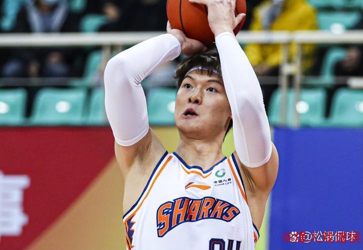 周琦贡献11分首钢惜败广厦 王哲林18+15助上海击败北控