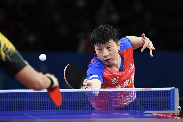 乒超马龙轻松赢球 山东鲁能横扫上海闯入男团决赛