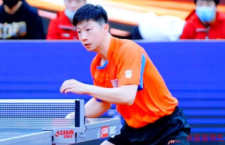 乒超马龙轻松赢球 山东鲁能横扫上海闯入男团决赛