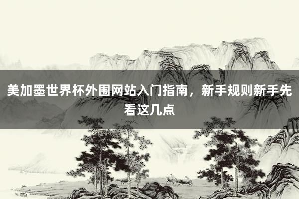 美加墨世界杯外围网站入门指南，新手规则新手先看这几点