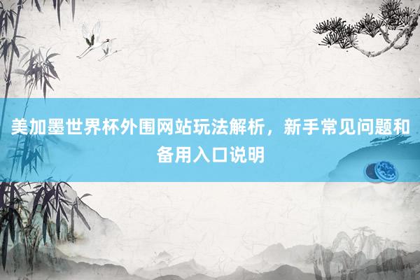 美加墨世界杯外围网站玩法解析，新手常见问题和备用入口说明