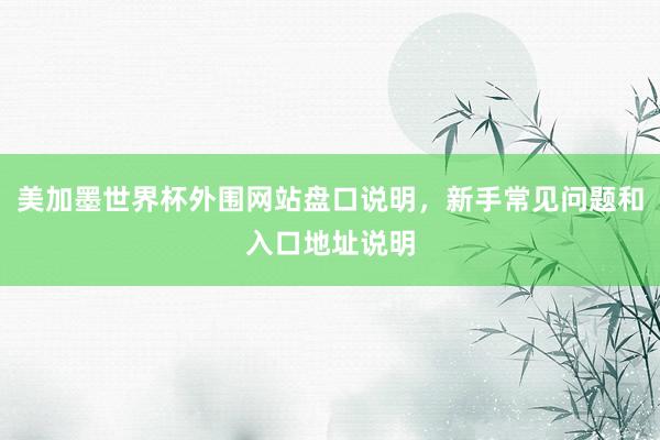 美加墨世界杯外围网站盘口说明，新手常见问题和入口地址说明